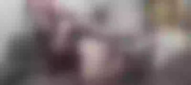 Live sex webcam photo for hasleycandy #6056077
