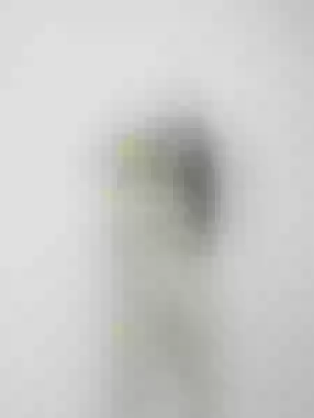 Live sex webcam photo for hasleycandy #6289788