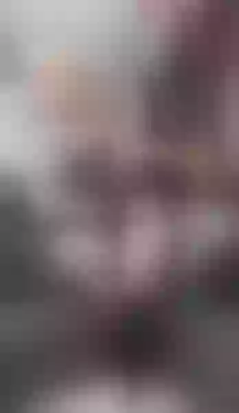 Live sex webcam photo for hasleycandy #6056071