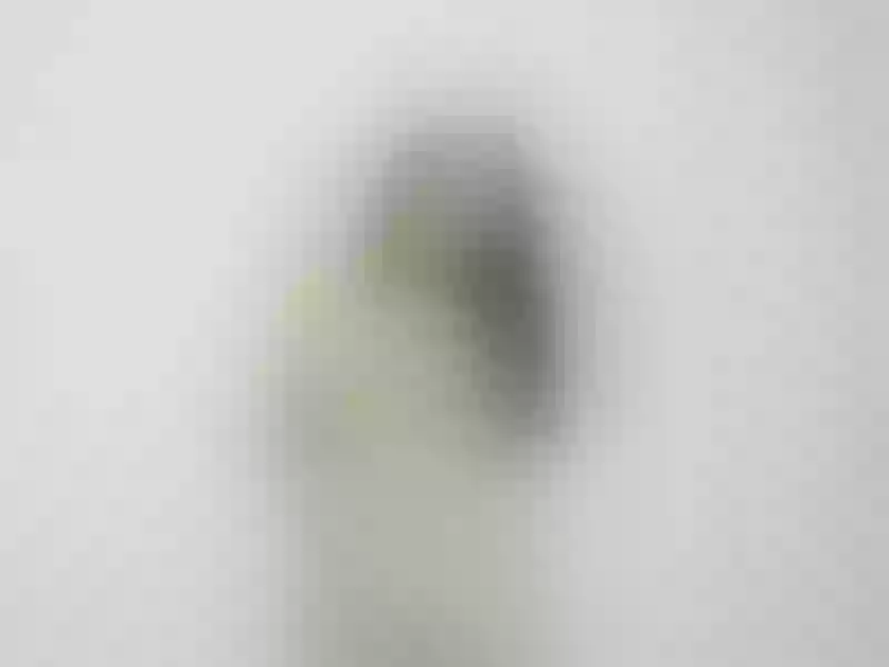 Live sex webcam photo for hasleycandy #6289785
