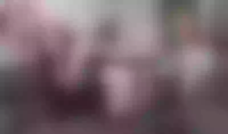 Live sex webcam photo for hasleycandy #6056064