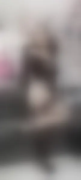 Live sex webcam photo for hasleycandy #6056076