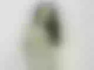 Live sex webcam photo for hasleycandy #6289775