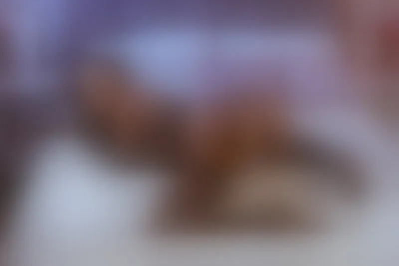 Live sex webcam photo for SaraSoull #5504636