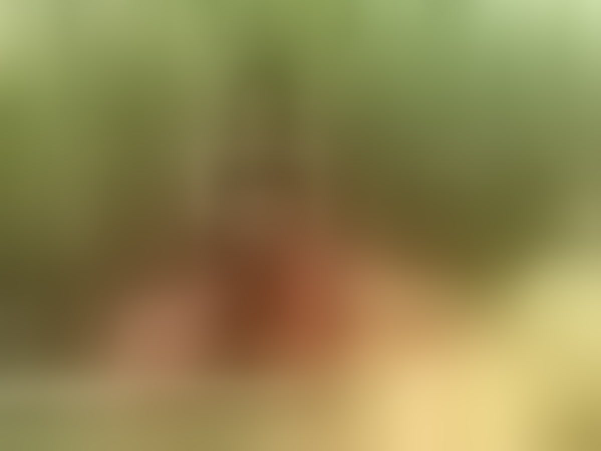 Live sex webcam photo for LiaCocktt #7931238