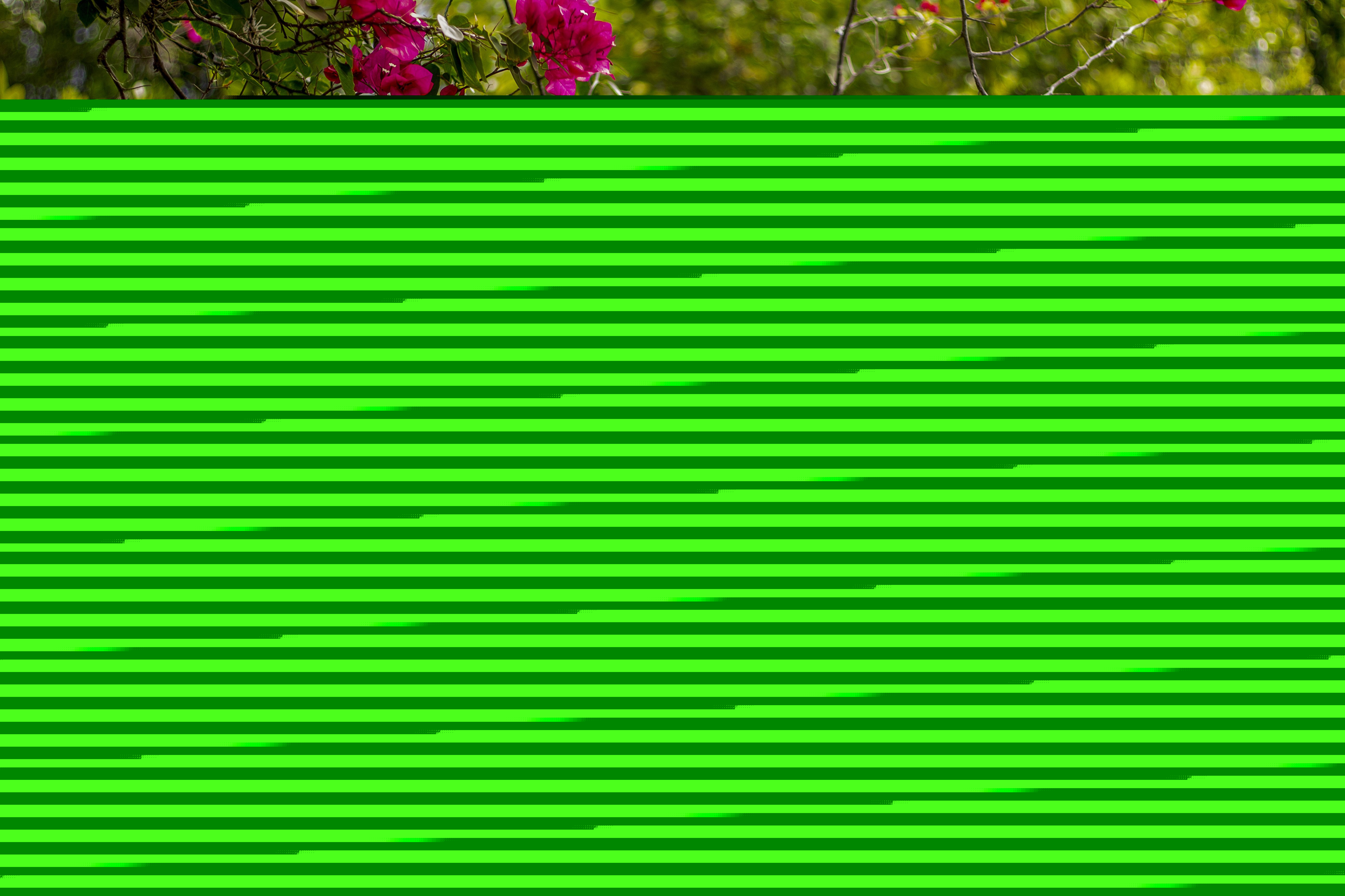 Live sex webcam photo for Seleneg022 #7170269