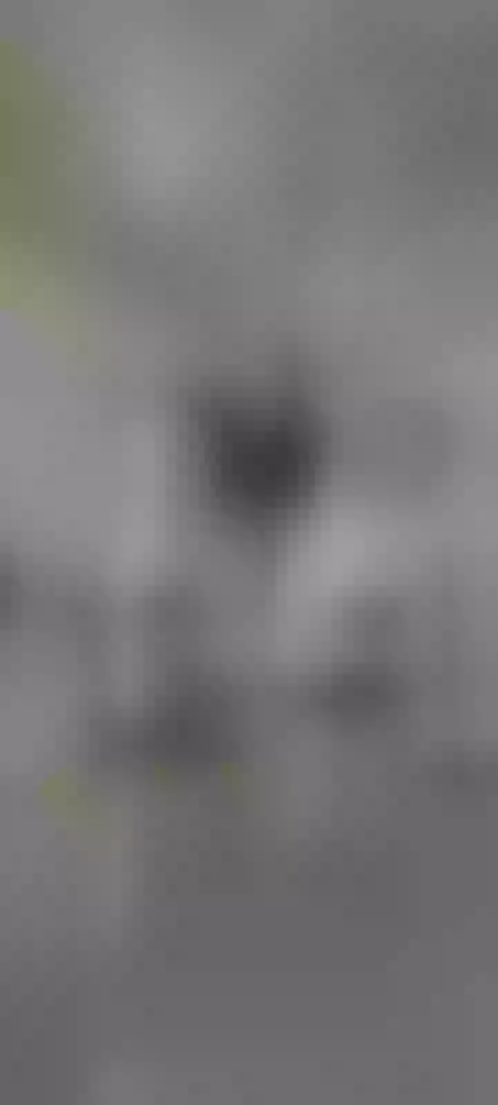 Live sex webcam photo for EllaRoss100 #7922741