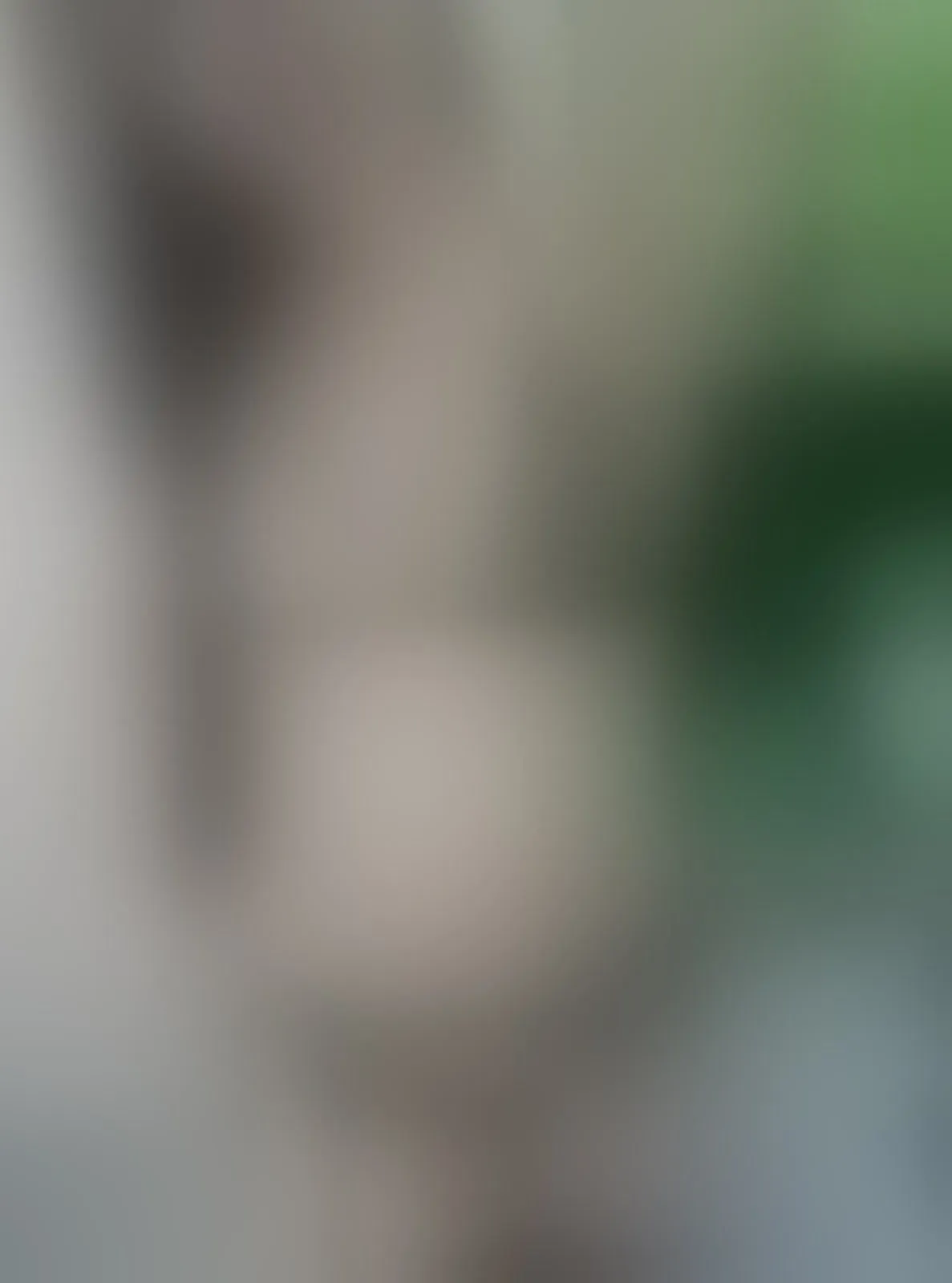Live sex webcam photo for EllaRoss100 #7922706