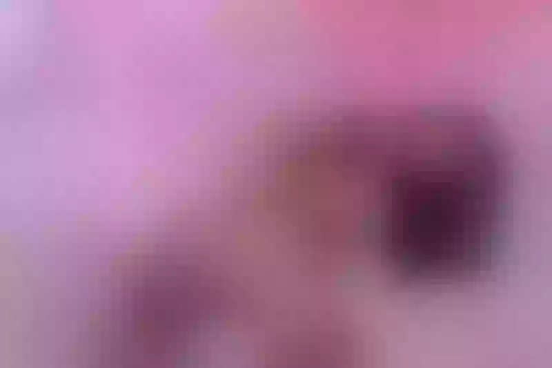 Live sex webcam photo for AriadnaRousee #5351949