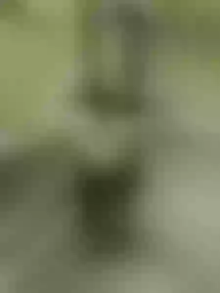 Live sex webcam photo for BustyCiara #6237972