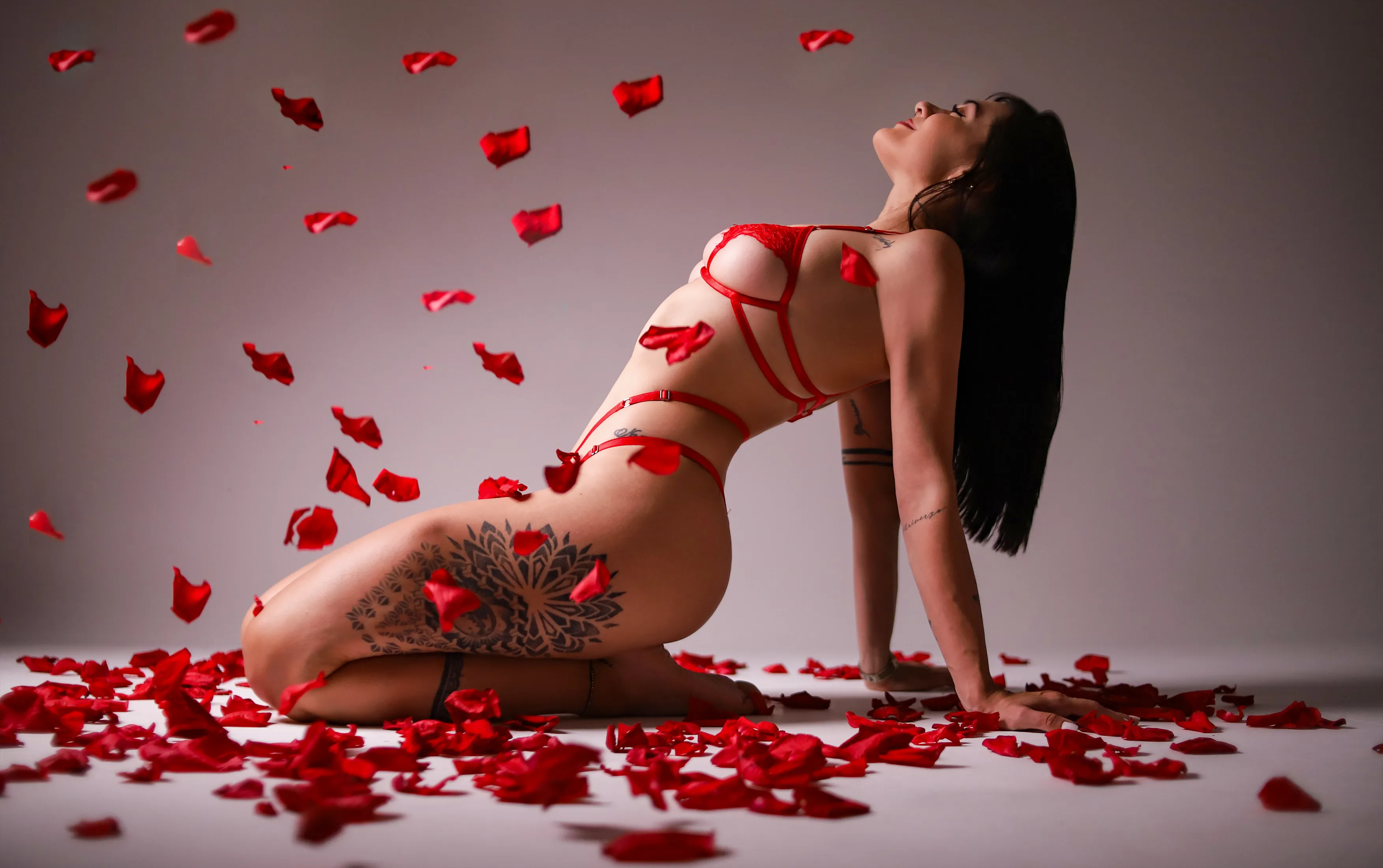 Live sex webcam photo for charlotteewhitee #7884625
