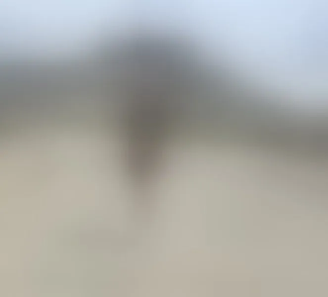 Live sex webcam photo for Kalagirll #6926277