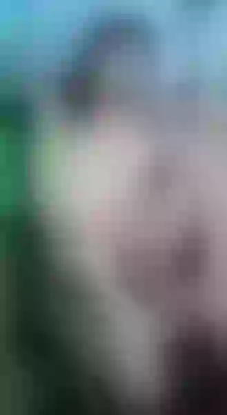 Live sex webcam photo for KellyJhoons #5872667