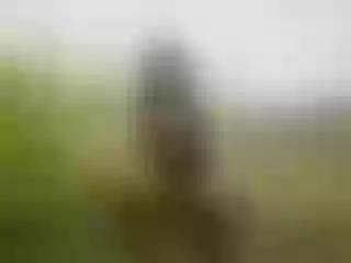 Live sex webcam photo for StefaniaGarcia #7981643