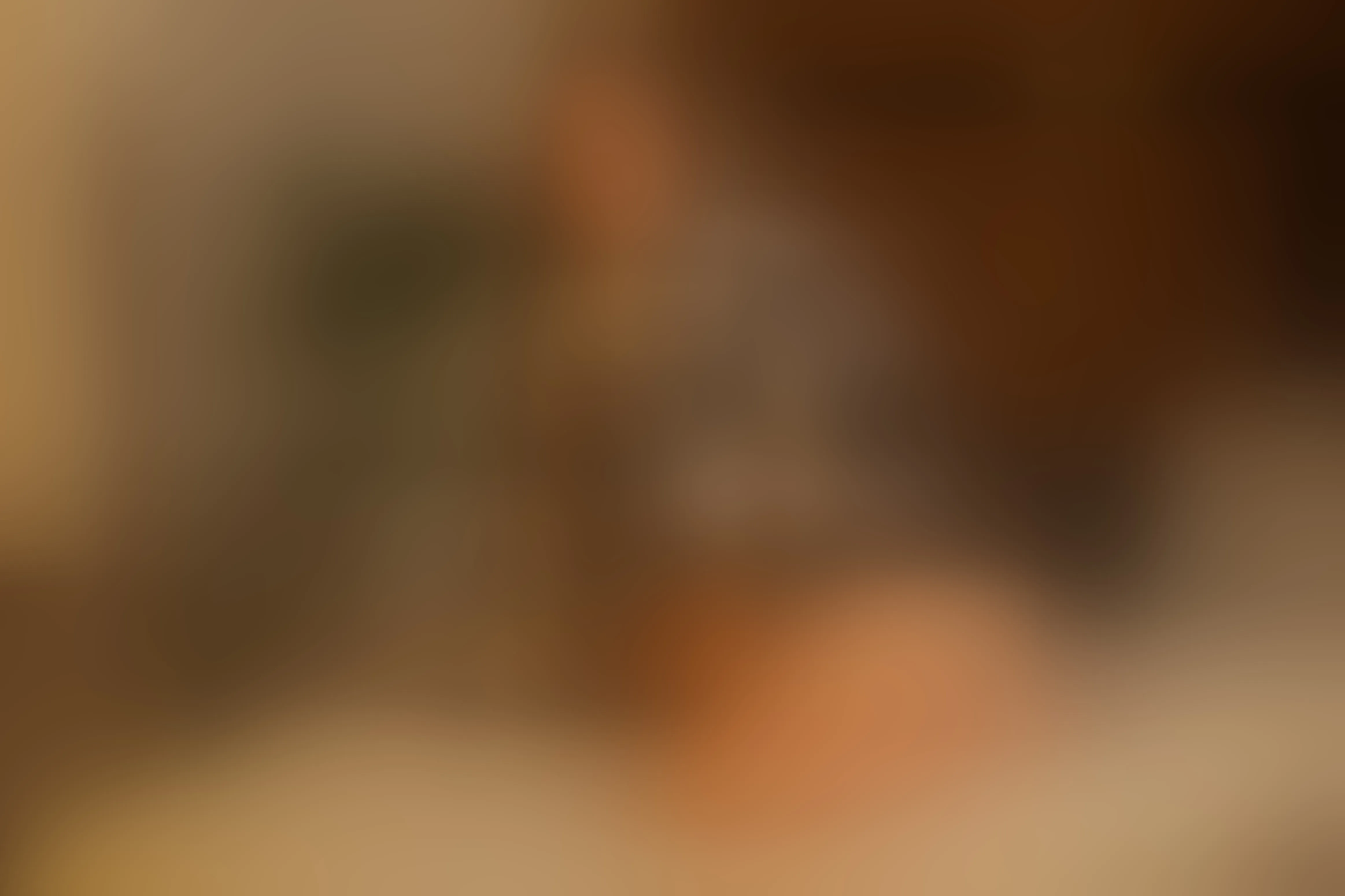 Live sex webcam photo for MelissaCortes #7118702