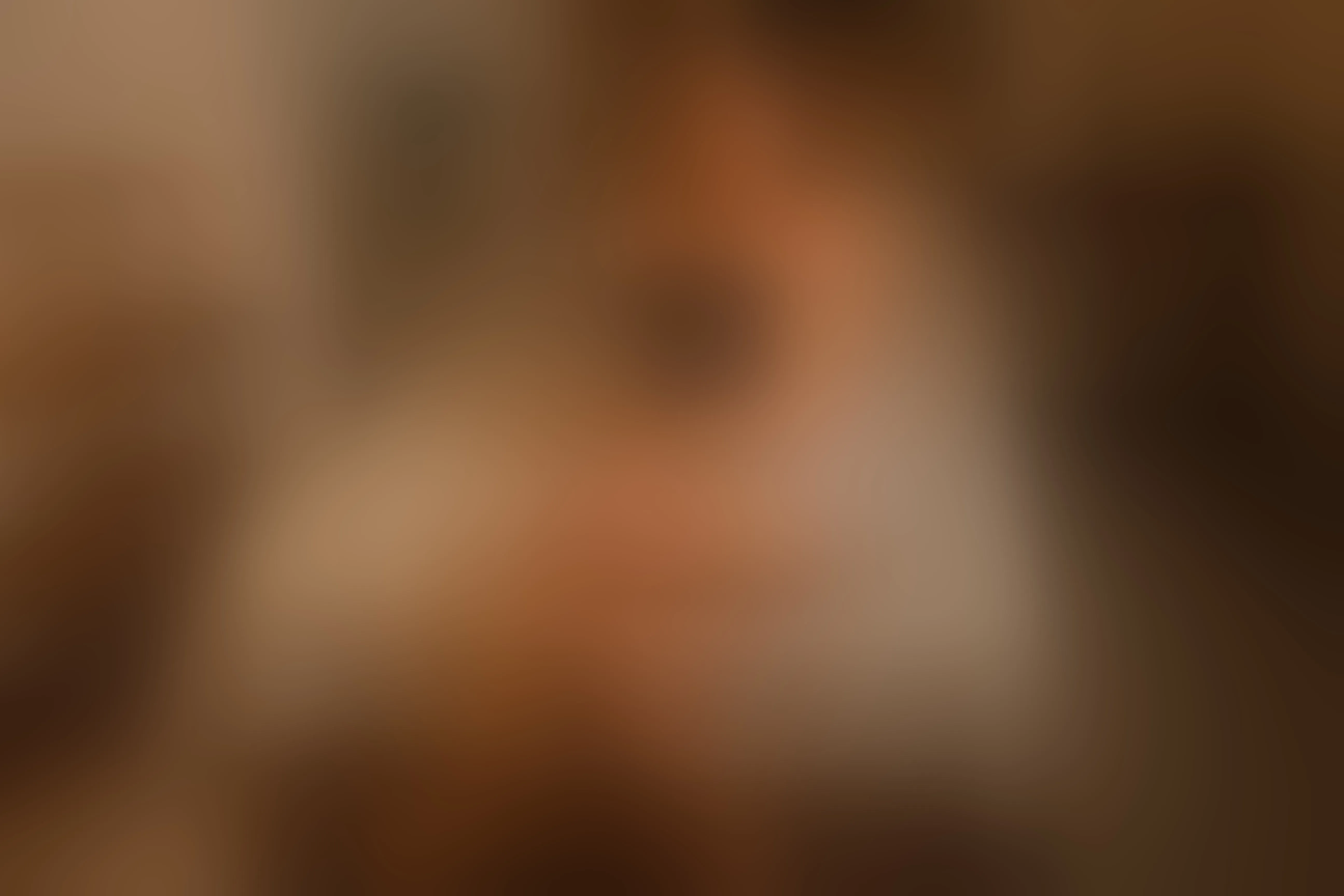 Live sex webcam photo for MelissaCortes #7118698