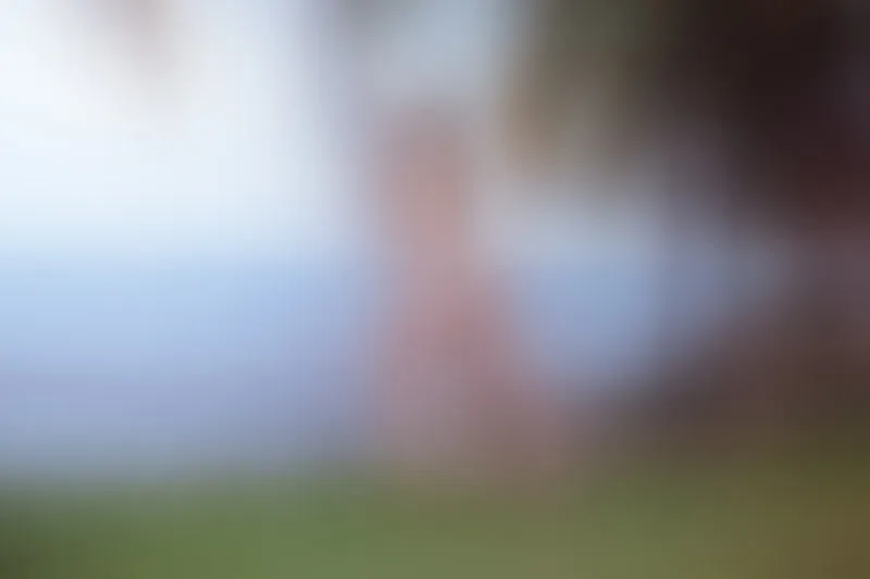 Live sex webcam photo for Kandymussee #4140028