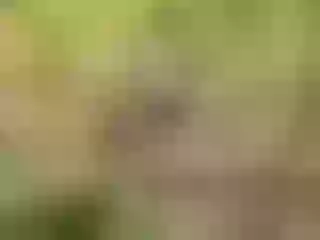 Live sex webcam photo for KarlyeKroes #6291107