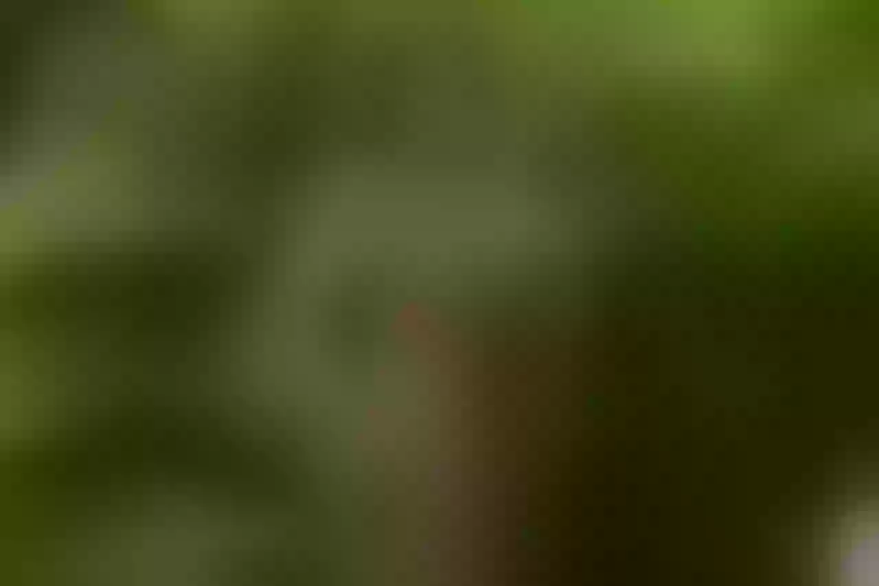Live sex webcam photo for AnaSpencer #7782808