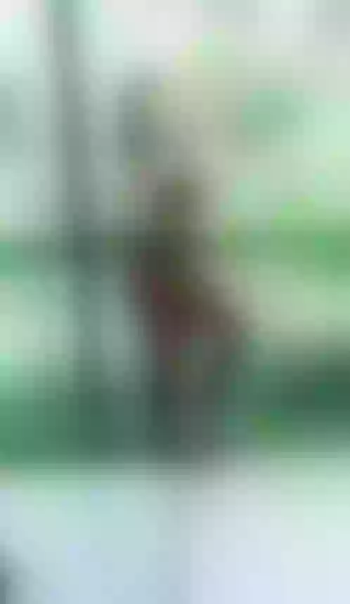 Live sex webcam photo for BrianaCharlot #7951985