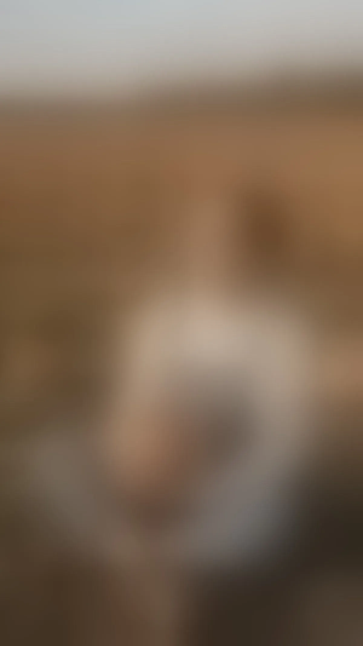 Live sex webcam photo for LilianMendoza #8348652