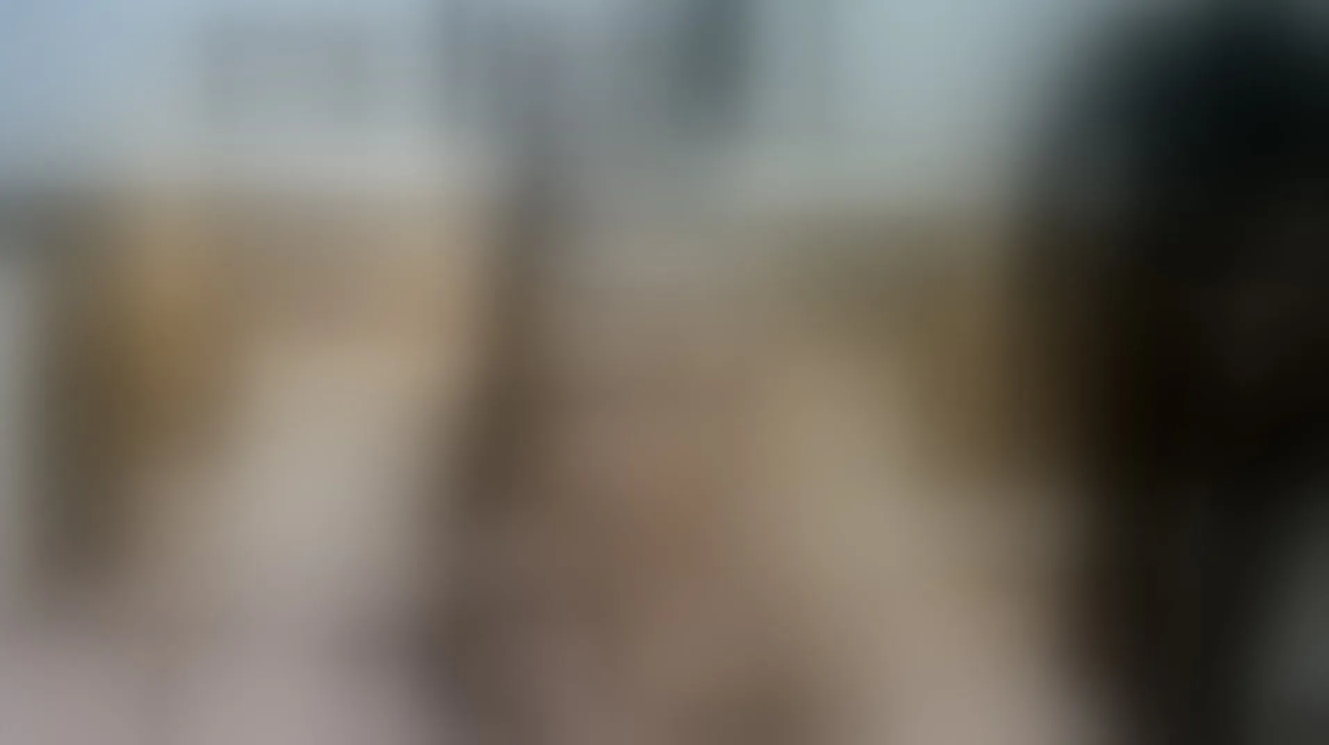 Live sex webcam photo for NikolleWilliams #7257714