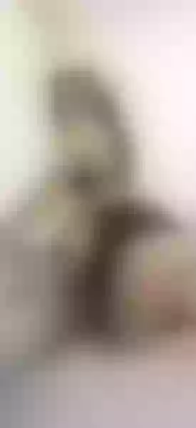 Live sex webcam photo for KenyaWalker #4153538