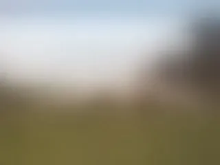 Live sex webcam photo for Halleheartly98 #6894849