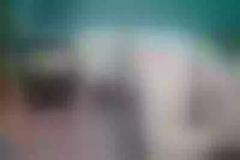 Live sex webcam photo for MinTurner #4061749