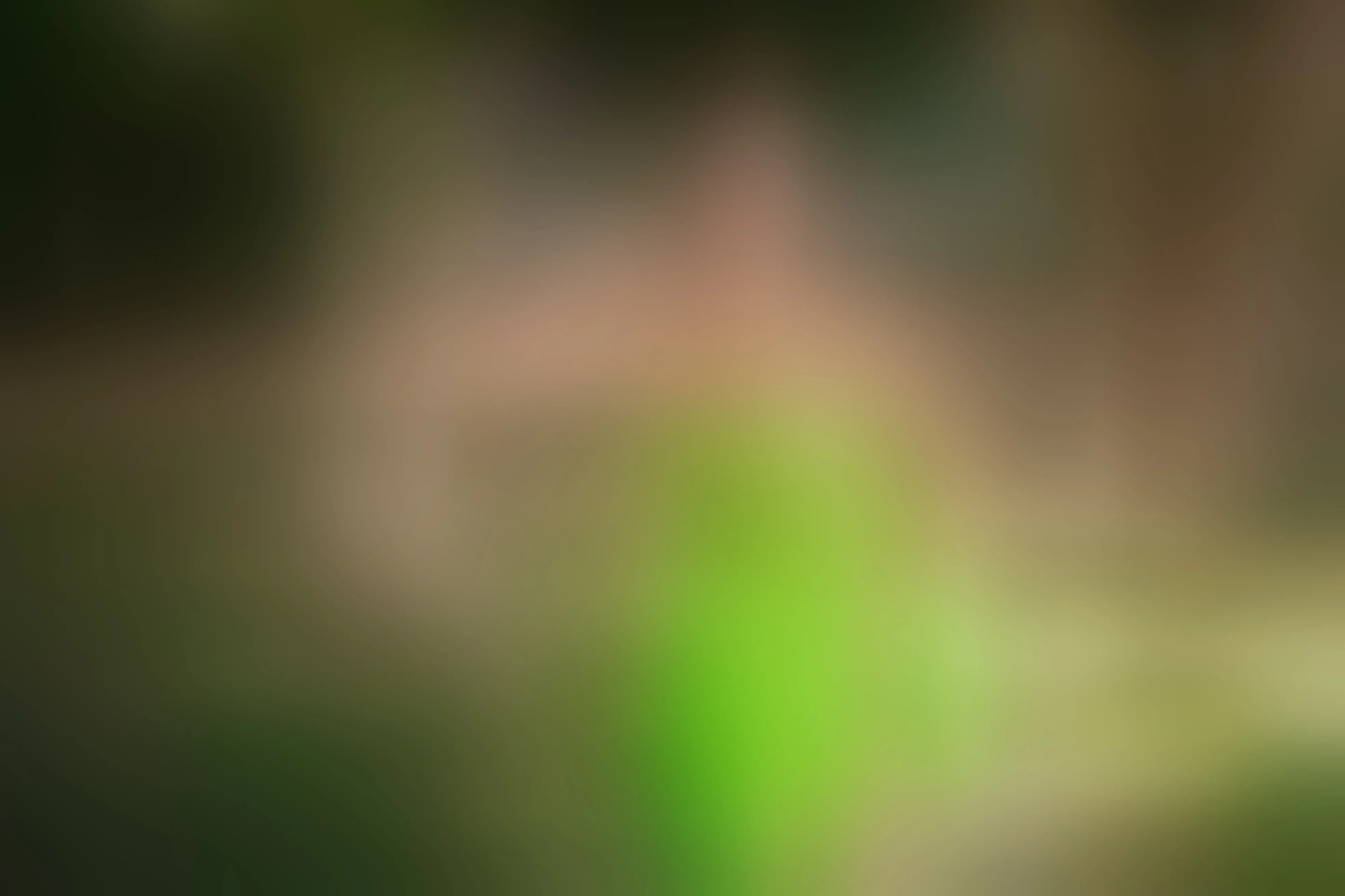 Live sex webcam photo for ElleWesst #5708305