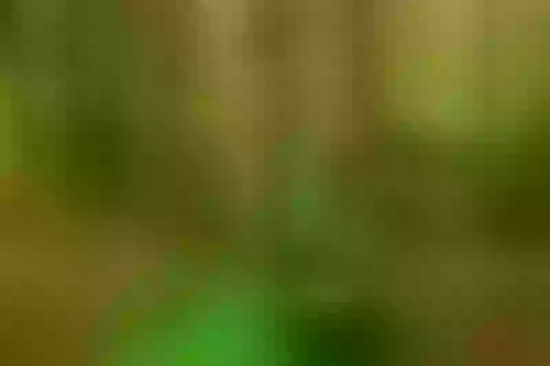 Live sex webcam photo for BarbieFerreirra #6210538