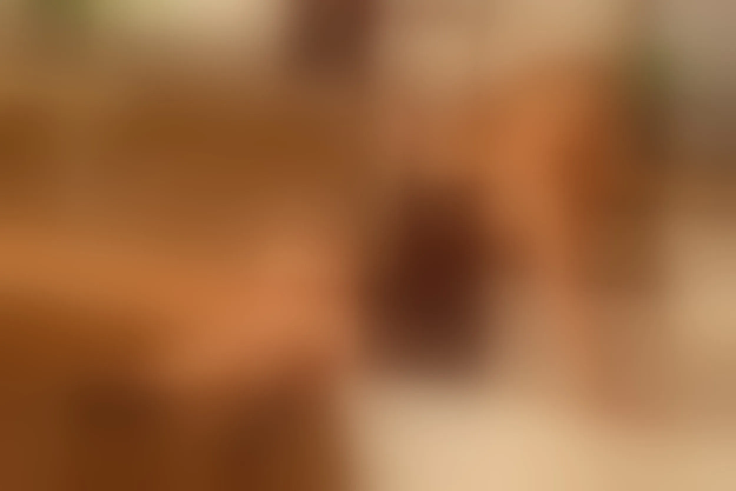 Live sex webcam photo for LauraSotos #8400182