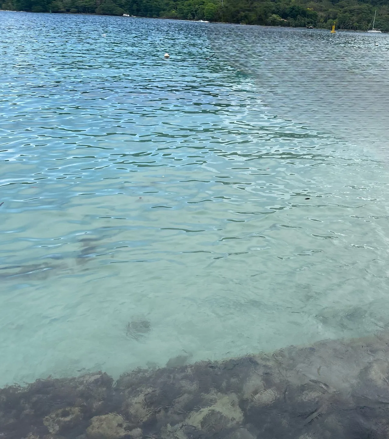 Live sex webcam photo for Nathally189 #7844636