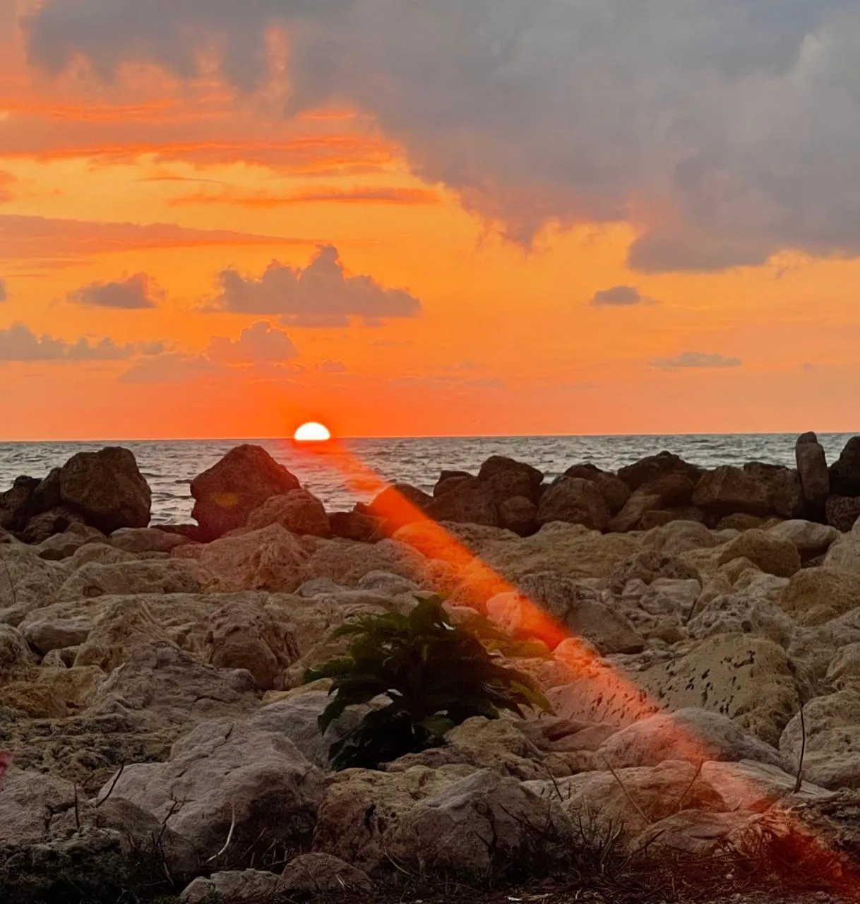 Live sex webcam photo for Nathally189 #7844609