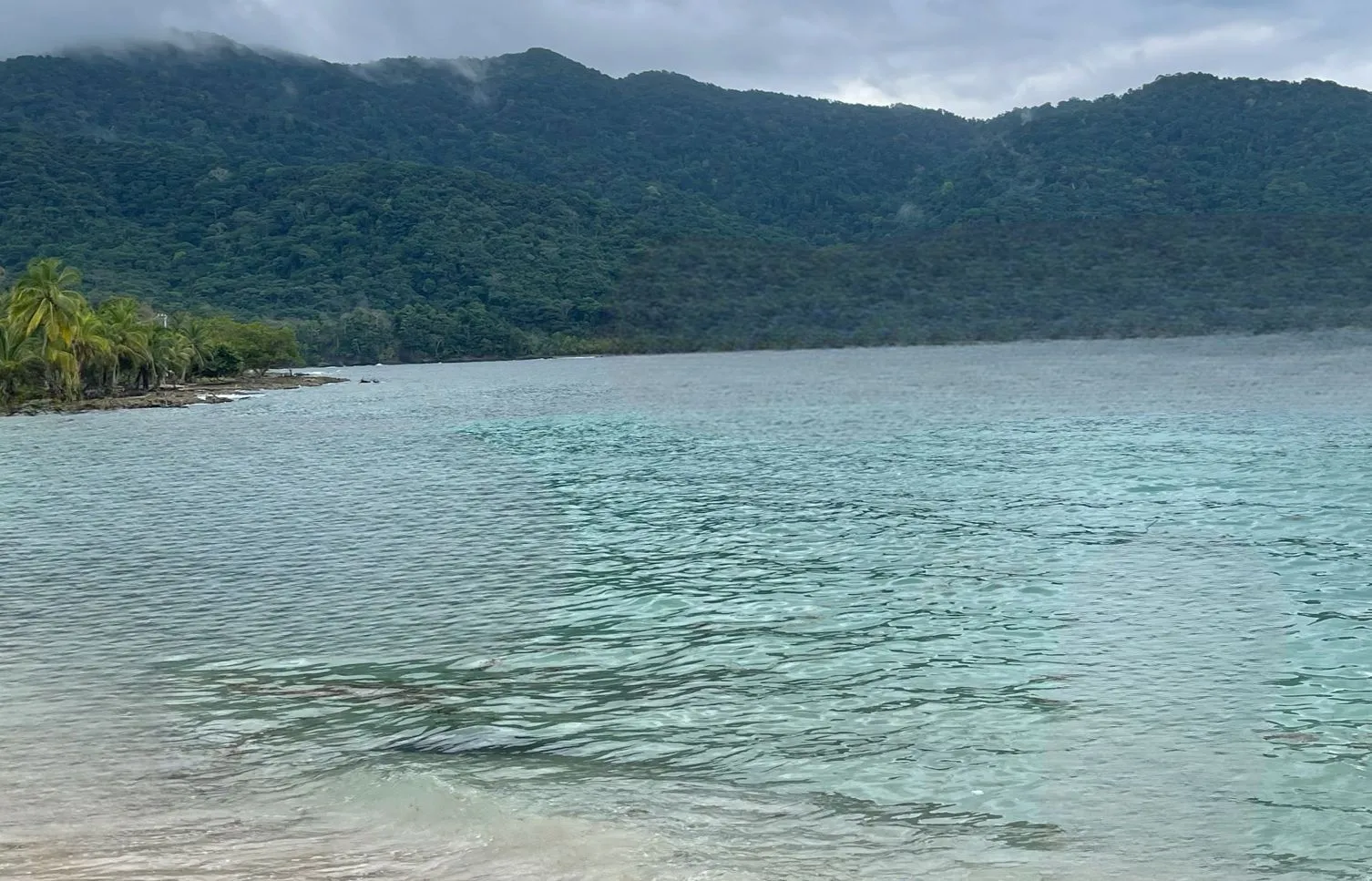 Live sex webcam photo for Nathally189 #7844635