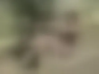 Live sex webcam photo for HalilaLovelace #8463481