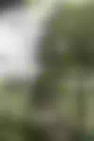Live sex webcam photo for KendalSttyller #7795973