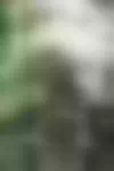 Live sex webcam photo for KendalSttyller #7795977