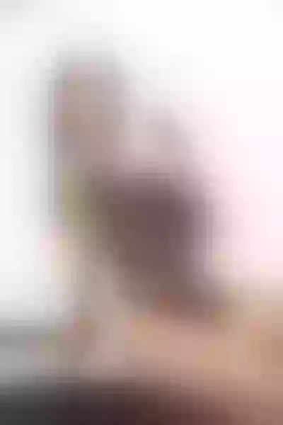 Live sex webcam photo for BellaJaggerr #4072167