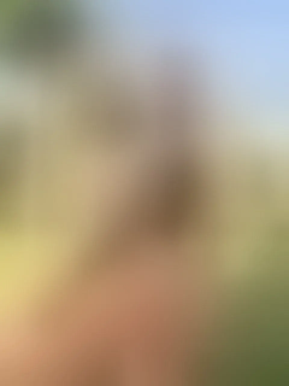 Live sex webcam photo for MissySummer #8640171