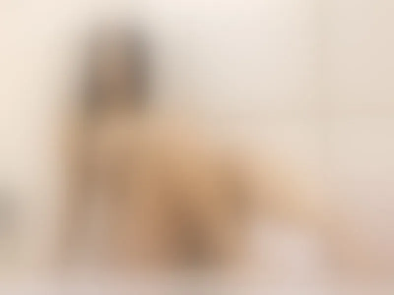Live sex webcam photo for LisaEvanss #4063233