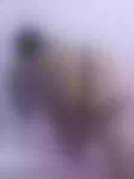 Live sex webcam photo for LisaEvanss #5487805