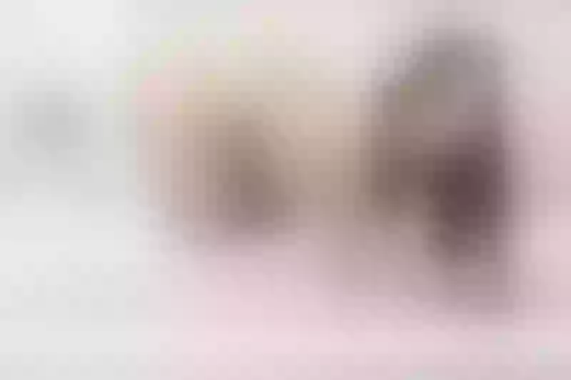 Live sex webcam photo for LisaEvanss #4063210