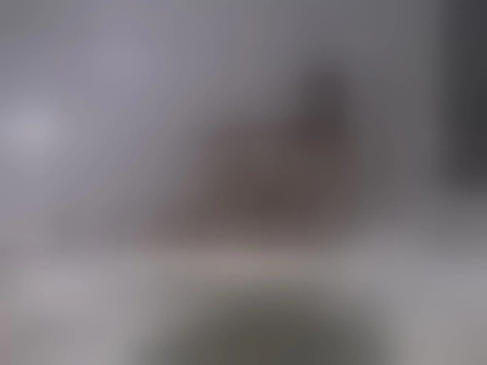 Live sex webcam photo for Katalinaaa #7496993