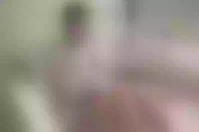 Live sex webcam photo for AMMBERJAY #5561460