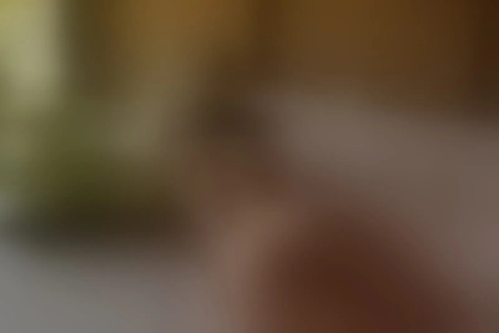 Live sex webcam photo for ElizabetAllenn #8405688