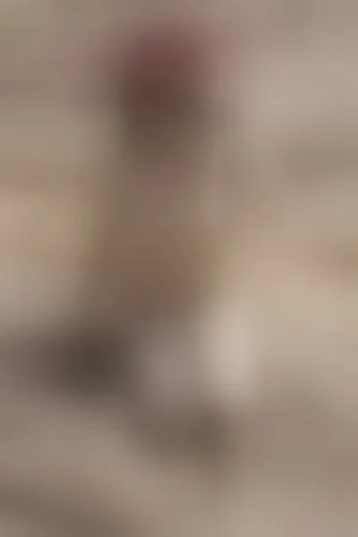 Live sex webcam photo for melisakosster #5373757