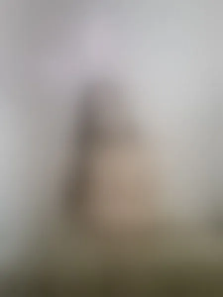 Live sex webcam photo for AbbyStone69 #8140864