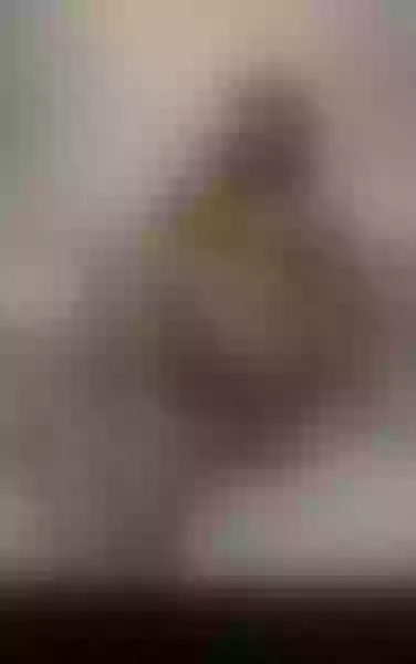 Live sex webcam photo for VienaSummer #5863585