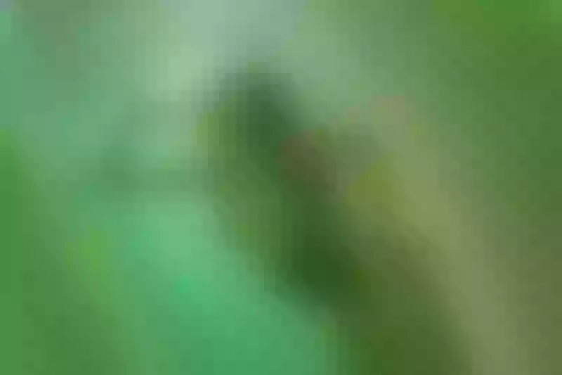 Live sex webcam photo for MikarinaeJames #5407912